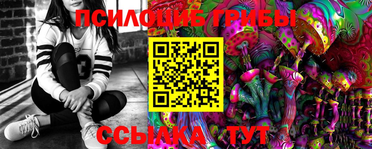 Галлюциногенные грибы MAGIC MUSHROOMS  Вход с VPN  цена наркотик  Саяногорск 